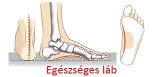 Egeszseges lab